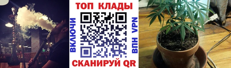Где можно купить наркотики Иланский КОКАИН  Амфетамин  Мефедрон  Галлюциногенные грибы  Марихуана  ГАШ 